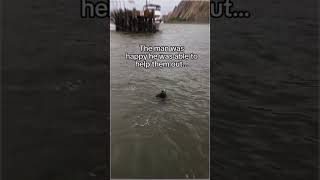 This Sea Otter SAVED a Life [upl. by Renato]