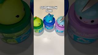 Squishmallow Slime Unboxing  Smells Like Candy [upl. by Vally]