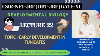 Early Development in Tunicates  Notochord Development  Development Biology [upl. by Rawley]