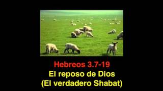 Hebreos 3 7 19 El reposo de Dios [upl. by Tilford]