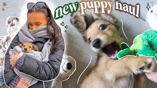 puppy haul  everything i got my new puppy essentials checklist [upl. by Terrye434]