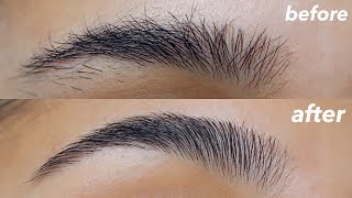 HOW TO GROOM  SHAPE YOUR EYEBROWS super easy  at home [upl. by Greene]