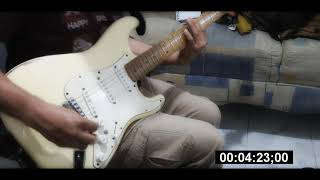 Paradisio  Bailando Guitar Cover [upl. by Stoecker]