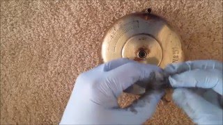 Polishing Brass Primus No 51 Stove ASMR [upl. by Darwen438]