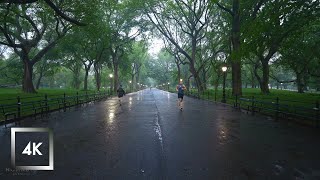 Walking in the Rain Central Park New York Binaural Rain Umbrella and Nature Sounds for Sleep [upl. by Henghold270]