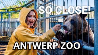 Discover the Hidden History of ANTWERP ZOO Since 1843  QUICK SCAN [upl. by Coopersmith]