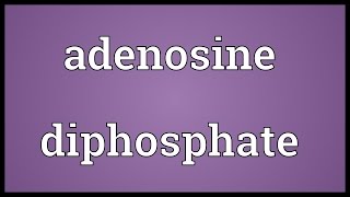 Adenosine diphosphate Meaning [upl. by Schrader]