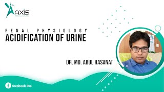 Physiology  Renal System  Acidification of Urine [upl. by Annais]