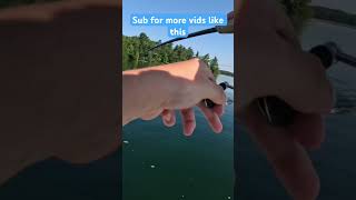 Small Mouth On A Flicker Shad [upl. by Itin]