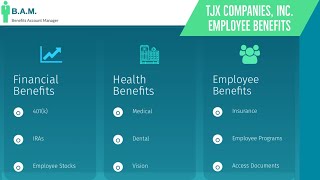 TJX Companies Inc Employee Benefits  Benefit Overview Summary [upl. by Jarrod]