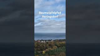 Baumwipfelpfad Heringsdorf [upl. by Bovill15]