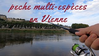 Sessions multiespèces en Vienne [upl. by Notlef]