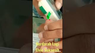 berdarah lagi by Elvie Sukaesih gurubangsa9617 [upl. by Yddor]