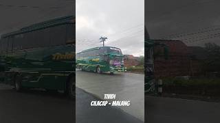 TIVIDI RUTE CILACAP MALANG [upl. by Ailongam945]