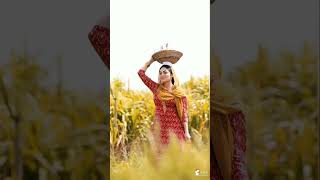 NeeruBajwa song chunni 🥰 neerubajwa punjabisong song shorts youtubeshorts [upl. by Coombs120]