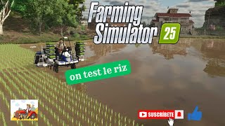 farming simulator 25  on teste le riz [upl. by Westphal]