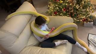 Festive Reticulated Python Handling and Gaming [upl. by Weisburgh]