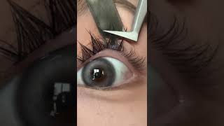 Half Lash  Eyelashes  Apply False Lashes eyelashes 1million how [upl. by Wilda]