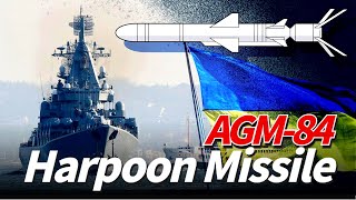 AGM84 Harpoon missile achieves 95 hit rate and sank Russian warship in two seconds [upl. by Acyre]