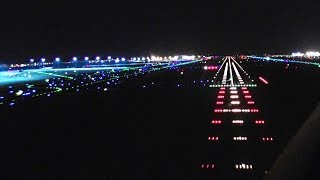 Windy Night Landing  Cockpit 737 FullHD [upl. by Iru]