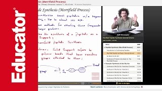 Peptide Synthesis Merrifield Process  Biochemistry Tutorial [upl. by Colburn72]