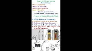 Stage of Bacterial Culture Methods and Purpose of Bacterial Growth Media geneticteacher [upl. by Aihsinyt]