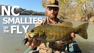 Fly Fishing for Fall Smallmouth in NC  Tips and Tactics [upl. by Conard]