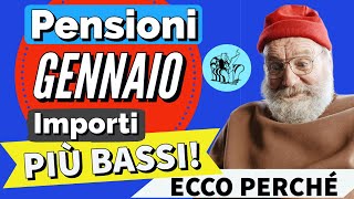 PENSIONI GENNAIO 2024 👉 IMPORTO PIÙ BASSO sul CEDOLINO❓ Ecco perché [upl. by Ely225]