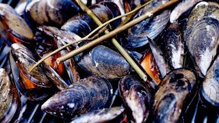 Recette  Moules au barbecue [upl. by Ellebasi750]