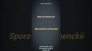 Sporothrix schenckii Pronunciation  Microbiology Pronunciation Guide  Biological Names [upl. by Aehcsrop]