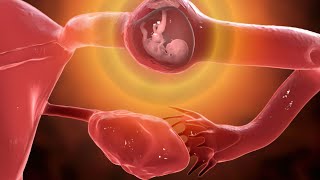 How Sperm Meets an Egg to Fertilize  Egg Fertilization amp Sperm Epic Story watch it in full details [upl. by Eberle]