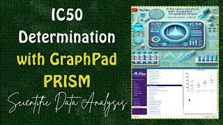 IC50 Determination with GraphPad PRISM  Data Analysis Tutorial [upl. by Acirrej]