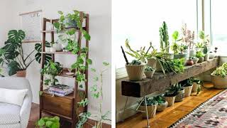 37 Idées géniales pour décorer votre intérieur avec des plantes verte [upl. by Assenyl]