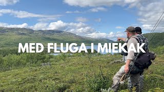 VLOGG  MED FLUGA I MIEKAK [upl. by Bricker]