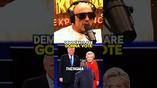 Rogan on Trump Exposing Hillary Clinton [upl. by Brade]