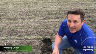 Corn Planting Depth 5 Reasons Why Its Important [upl. by Jarrod]