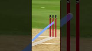 Mujeeb Masterclass bowling cricket ipl viratkohli cricketlover kingkohli [upl. by Rosenkranz452]