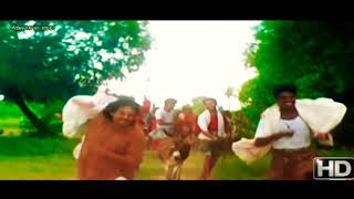 Aalamaram velamaram pachai tamil 51 hd video songIlayaraja hits [upl. by Alanson873]