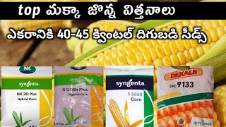 top makka seeds in rabi season  అధిక దిగుబడి ఇచ్చు మక్కా విత్తనాలు  Aaryanfarms [upl. by Binah]