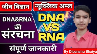 DNA VS RNA  DNA ky hota hai  RNA kya hota  Nucleic acid kya hota hai  class 12th  by Dipanshu [upl. by Blanche]