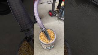 feed pellet machine new feed pellet machine good helper for farmers agricultureshorts [upl. by Sasnett]