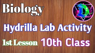 10th Class Biology Lab activity  Hydrilla Experiment  1st Lesson [upl. by Jayson]