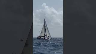 Tayana V42 7kn SOG reefed main 20 kn of wind off Martinique ￼carribean sailing sailboat tayana [upl. by Mead]