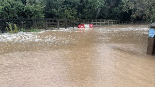 Rufford Ford badly flooded  live stream [upl. by Weight369]