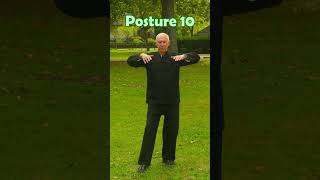 La forme de la Terre 10è posture nature martialarts taichichuan [upl. by Asle]