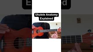 Parts of the Ukulele Explained shorts [upl. by Koren]