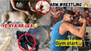 Maggu ne ye kya kr lea😰choti baby ko bhes ne daab lea 😳arm wrestling start🔥 [upl. by Natica]