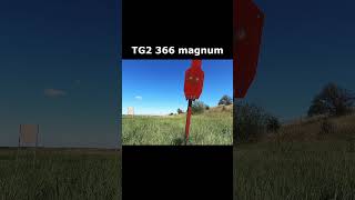 ТГ2 магнум сплиты tg2 magnum 366 split ak ак 366ткм 366magnum [upl. by Waylen]