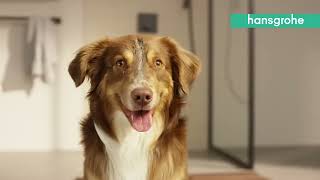 hansgrohe DogShower [upl. by Lika]