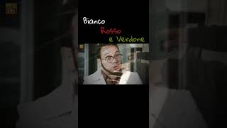 Bianco Rosso e Verdone by Ennio Morricone Improvised Piano Version by Luciano Lombardi [upl. by Nahtanoy]